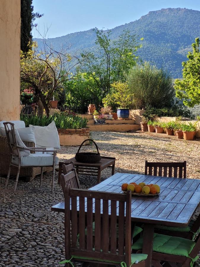 Cortijo El Pino Retreat Bed & Breakfast Albunuelas Ngoại thất bức ảnh