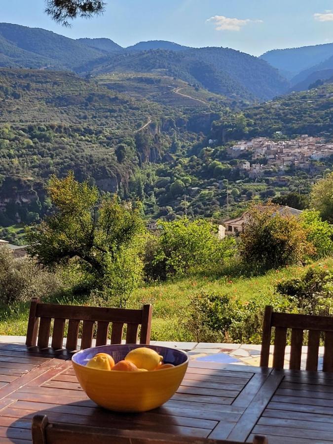 Cortijo El Pino Retreat Bed & Breakfast Albunuelas Ngoại thất bức ảnh
