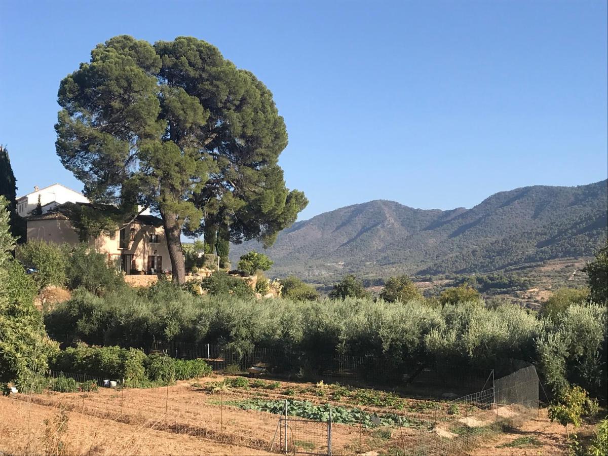 Cortijo El Pino Retreat Bed & Breakfast Albunuelas Ngoại thất bức ảnh