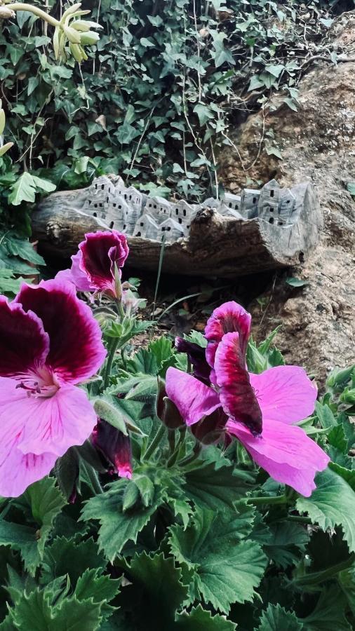 Cortijo El Pino Retreat Bed & Breakfast Albunuelas Ngoại thất bức ảnh